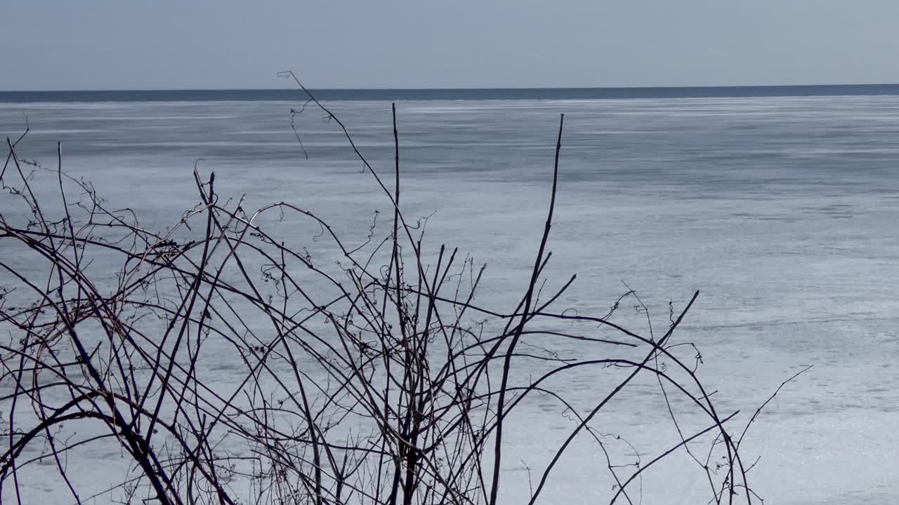 Ice retreats on a frozen bay in early spring, with bare vines in the foreground.