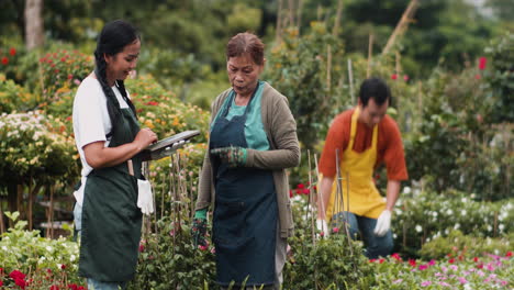 Jardineros-Trabajando-Al-Aire-Libre