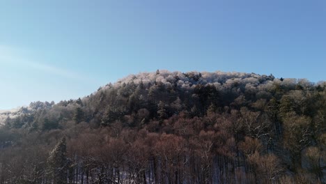 a sunlit forested hill covered in frost or snow, sparkling under a clear blue sky. the sunlight casts a warm glow on the icy treetops, creating a contrast between the frosty trees and the vibrant sky.