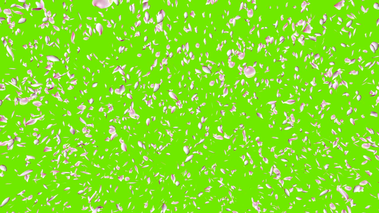 Water lily petals flying.