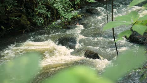 Flowing-River-Close-Up-in-Tropical-Forest-Scenery-in-Africa,-Lush-Greenery-Landscape-in-Kilimanjaro-National-Park-in-Tanzania-in-African-Scene-of-Water-and-Green-Trees-and-Nature