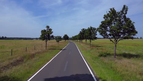 empty asphalt road crossing a countryside landscape with trees and fields. wonderful aerial view flight fly push forward drone