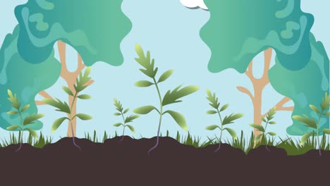 Animation-of-plants-growing-over-trees