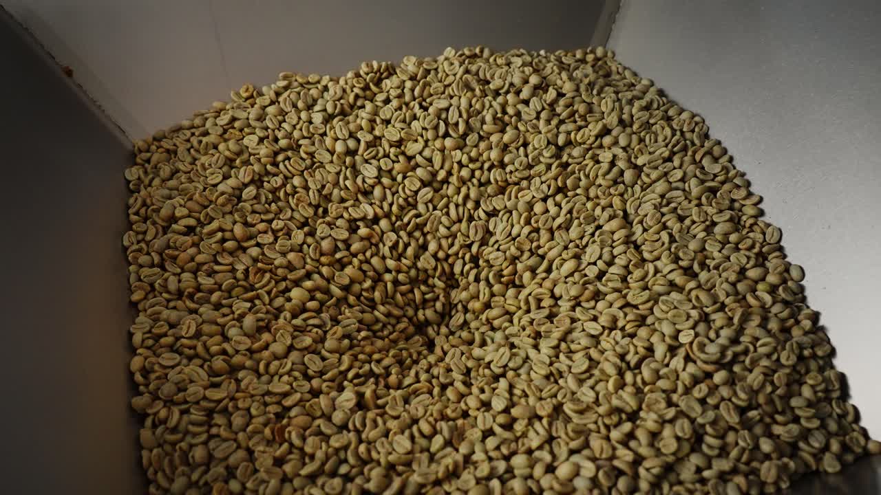 Green Coffee Beans in a Processing Container
