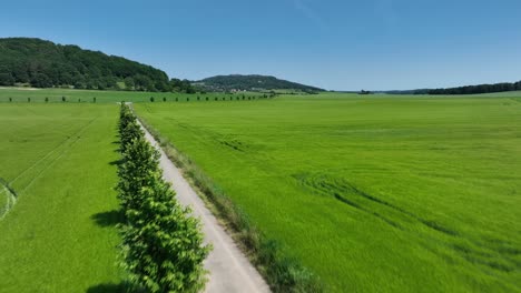 smooth drone zoom in aligned with curved path, trees and farming terrain under clear skies