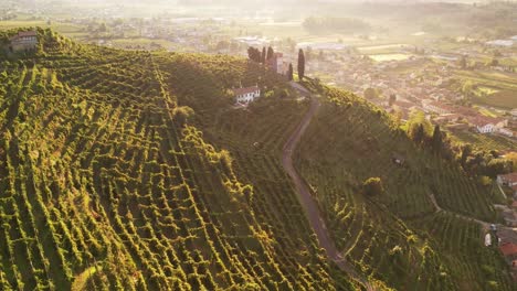 Vista-Aérea-Del-Paisaje-Sobre-Las-Famosas-Colinas-De-Prosecco-Con-Hileras-De-Viñedos,-Italia,-En-Una-Mañana-Brumosa