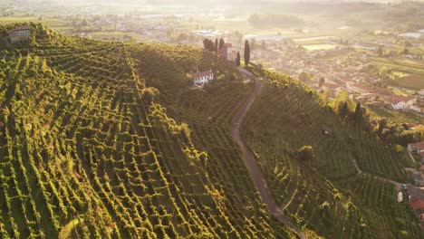 vista aérea del paisaje sobre las famosas colinas de prosecco con filas de viñedos, italia, en una mañana brumosa