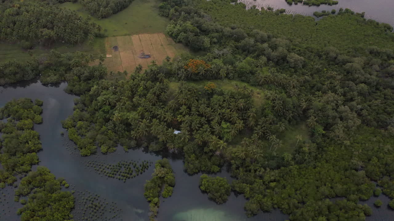 필리핀 시아르가오 섬에서 일몰 동안 맹그로브와 물의 공중 기울기