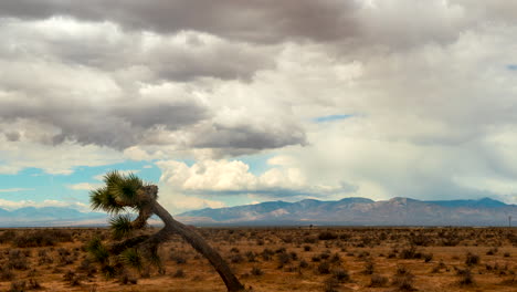 Majestuosas-Nubes-Son-Empujadas-Por-El-Viento-A-Través-Del-Accidentado-Paisaje-Del-Desierto-De-Mojave---Lapso-De-Tiempo-Con-El-árbol-De-Joshua-En-Primer-Plano