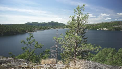 tranquil highland lake in forest countryside