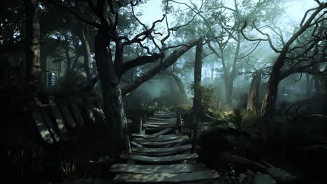 foggy forest path