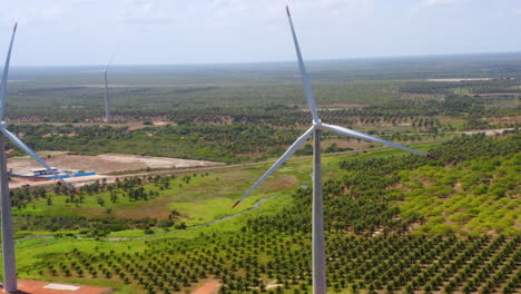 Vista-Aérea-Del-Ventilador-De-Viento-En-Medio-De-Una-Zona-Verde-De-Palmeras,-Ceará,-Brasil.