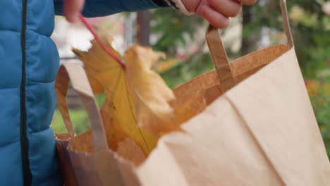 primer plano de un niño colocando suavemente una hoja seca de otoño en una bolsa de papel marrón, mostrando una actividad ecológica y una conexión con la naturaleza colorida en un fondo borroso