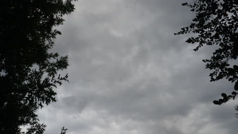 Dark-Clouds-Timelapse-trees-in-the-foreground