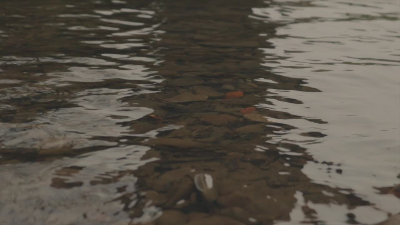 movimiento lento del río ángulo bajo