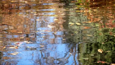 Superficie-De-Agua-De-Un-Estanque-En-El-Parque-Del-Retiro,-Madrid