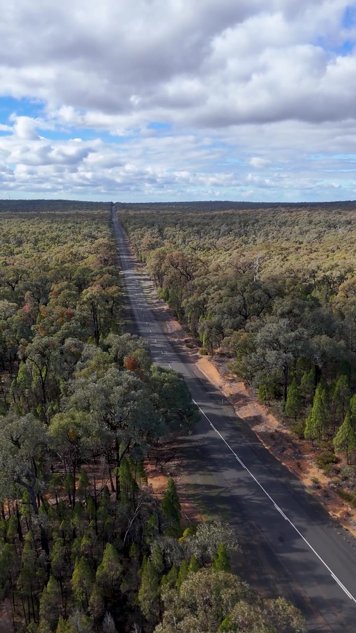 Ripresa aerea con drone dall'alto di una lunga autostrada che attraversa la fitta boscaglia australiana sotto un cielo nuvoloso.