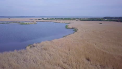 vista aérea del lago cubierto de juncos marrones y agua azul, lago liepaja, letonia, día soleado, clima tranquilo, disparo de drones de gran angular avanzando