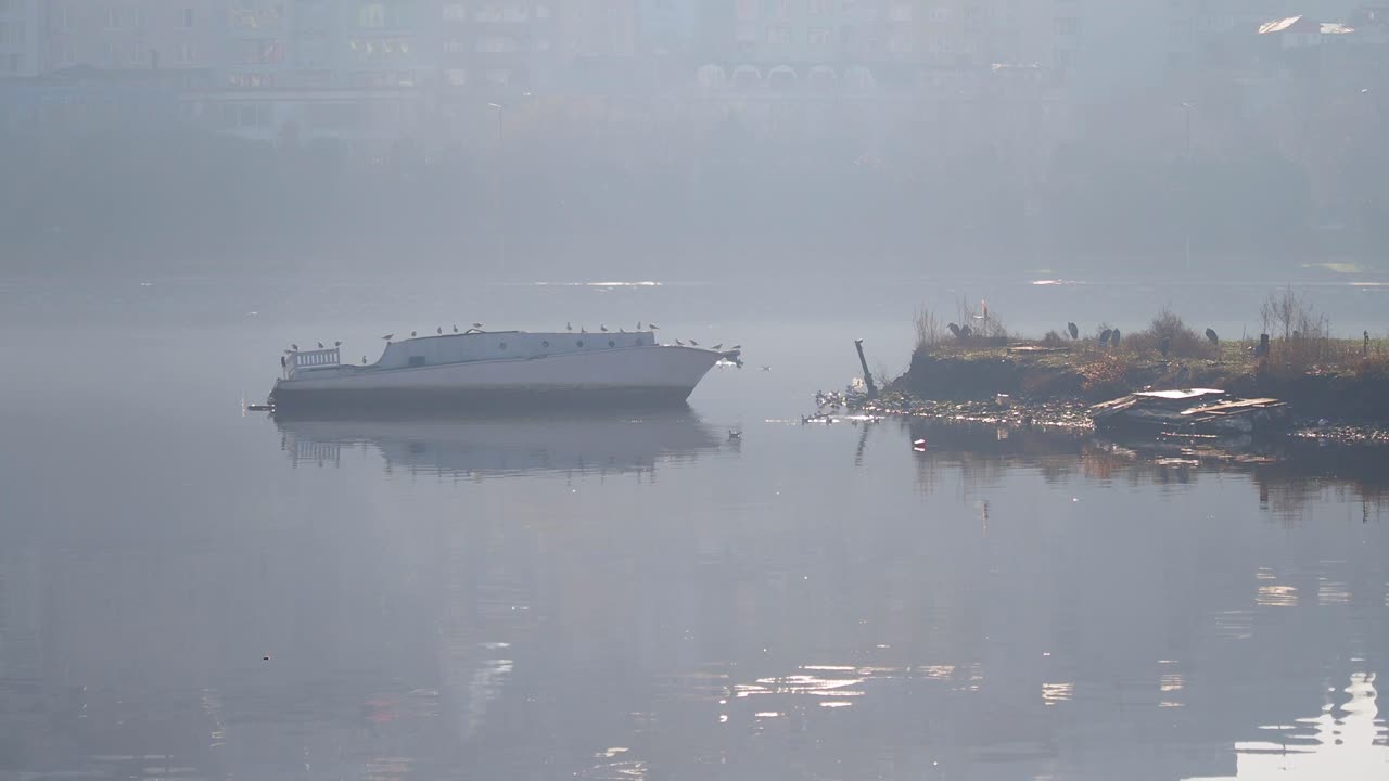 안개 가 가득 한 강 에서 버려진 배
