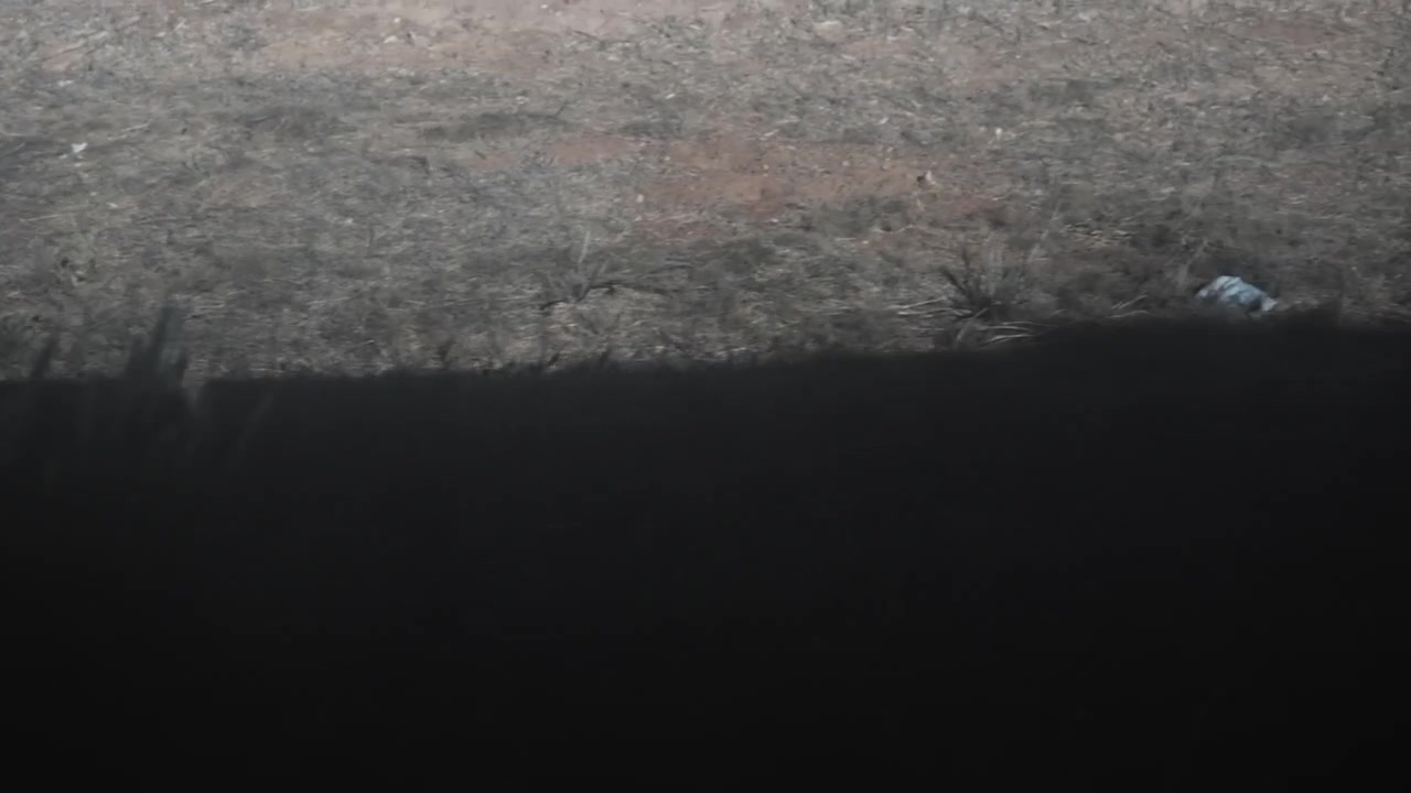 Vista da Sombra de um Trem em Movimento