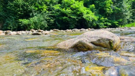 close-up rock in a stream