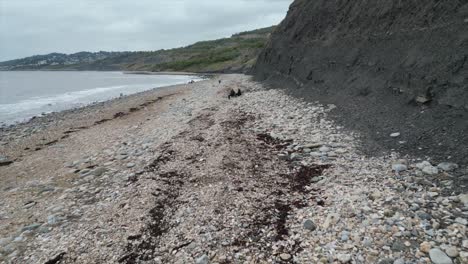 Leute,-Die-An-Einem-Felsigen-Strand-In-England-Chillen