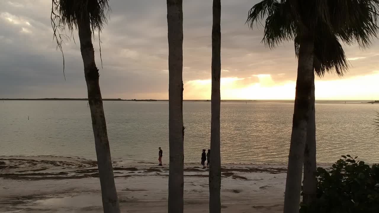 esta es la calzada de dunedin