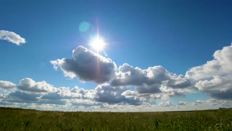 sunny day over a field