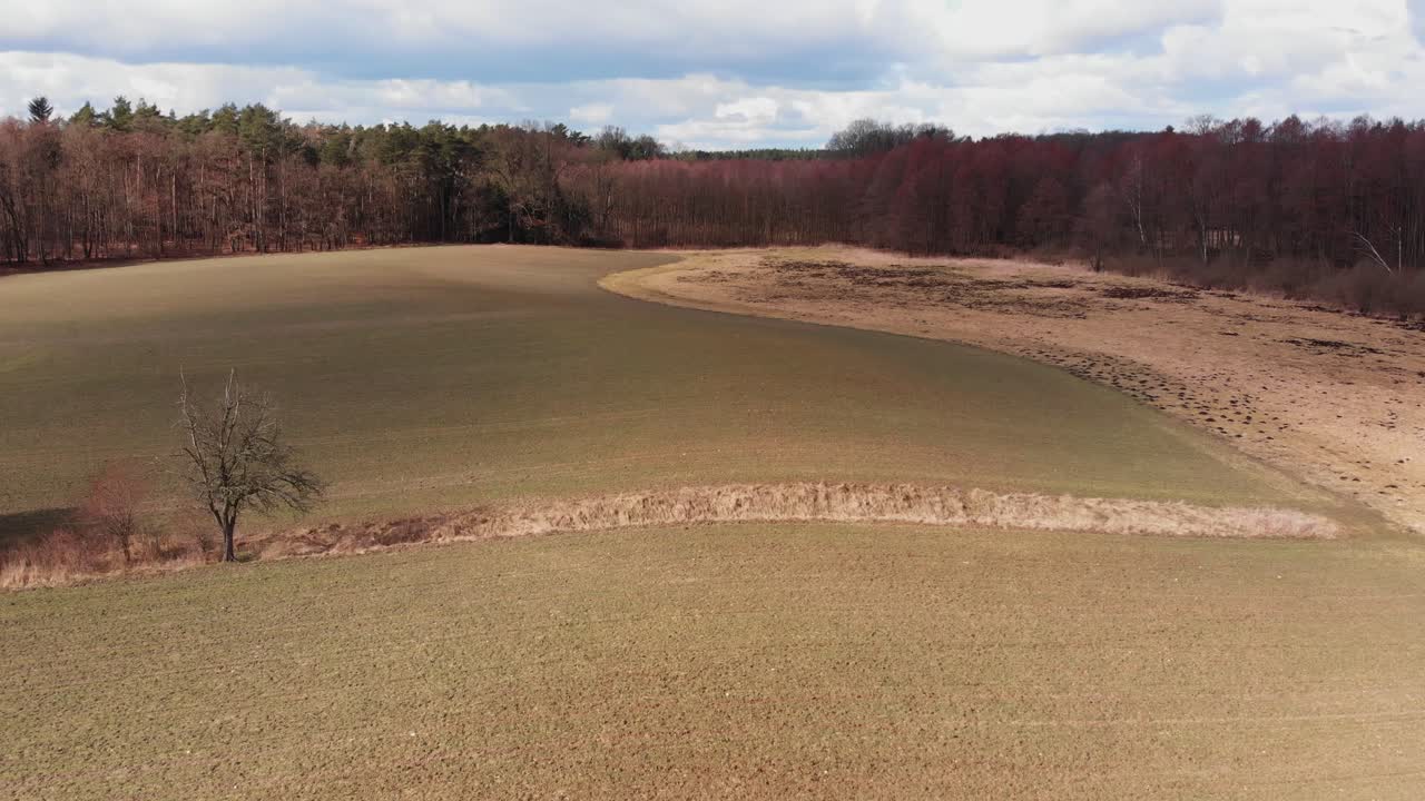 드론은 숲 가장자리 근처의 구름 그림자와 함께 빈 건조한  위로 빠르게 날아갑니다.