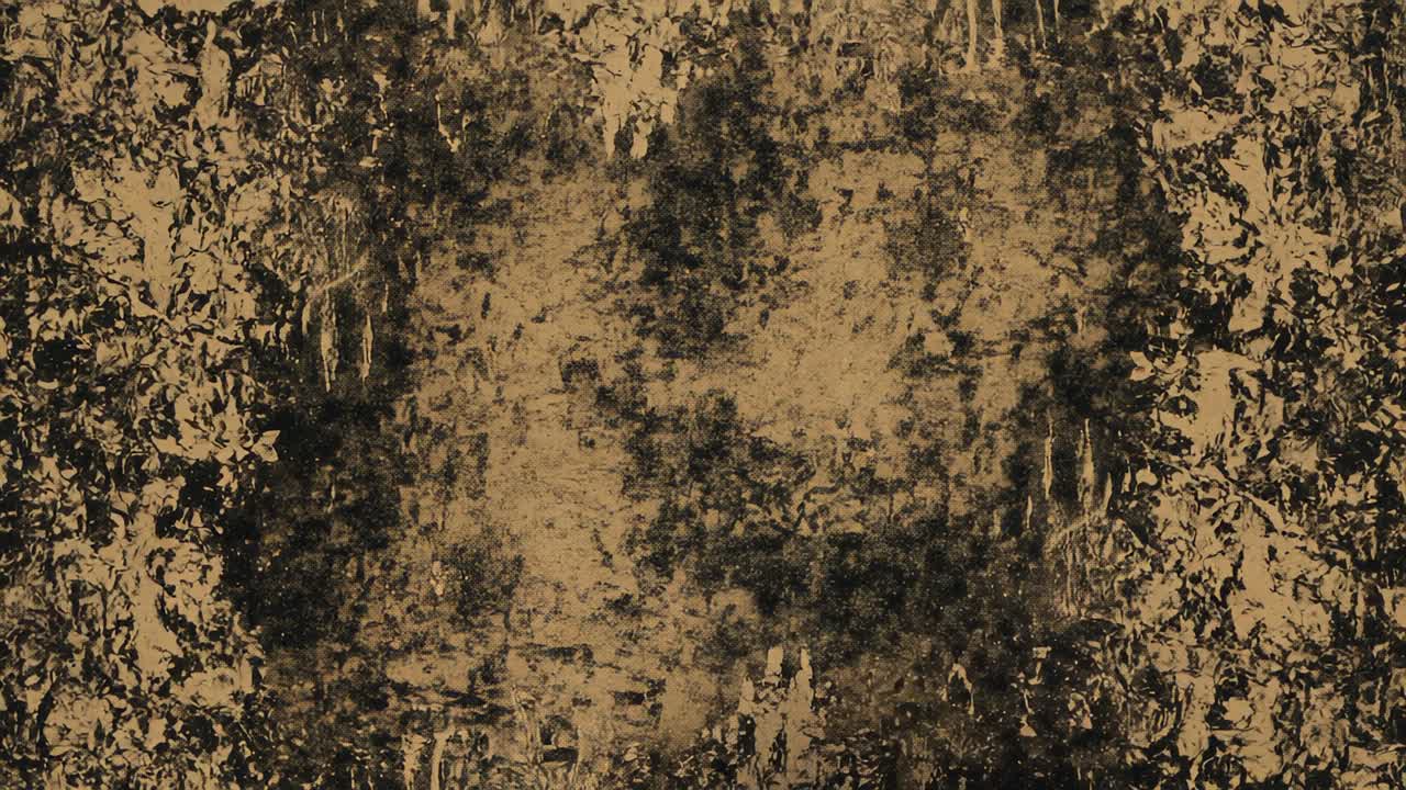 Brightening right patch expanding mottled surface, revealing close-up view with brown texture