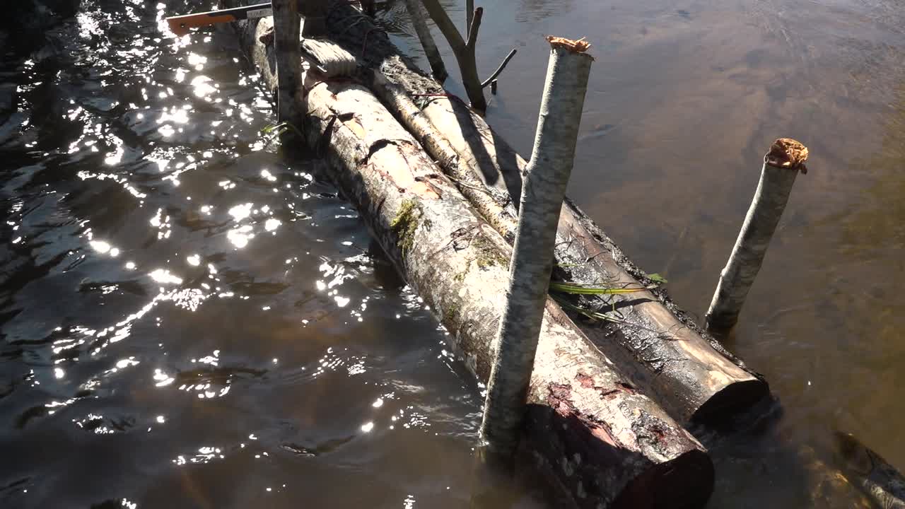 작은 개울이 있는 연어 강-1