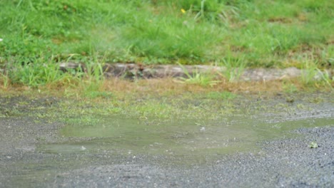 Ein-Mädchen,-Das-In-Der-Natur-Nach-Dem-Regen-Mit-Einem-Großen-Spritzer-Rennt,-Wenn-Sie-In-Zeitlupe-Mit-Geringer-Schärfentiefe-Zu-Einer-Wasserpfütze-Springt