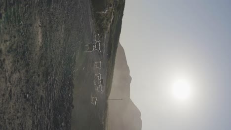 Un-Rebaño-De-Ovejas-Pastando-En-Una-Ladera-Al-Amanecer-En-Patagonia,-Argentina-Con-Montañas-Nubladas-En-El-Horizonte