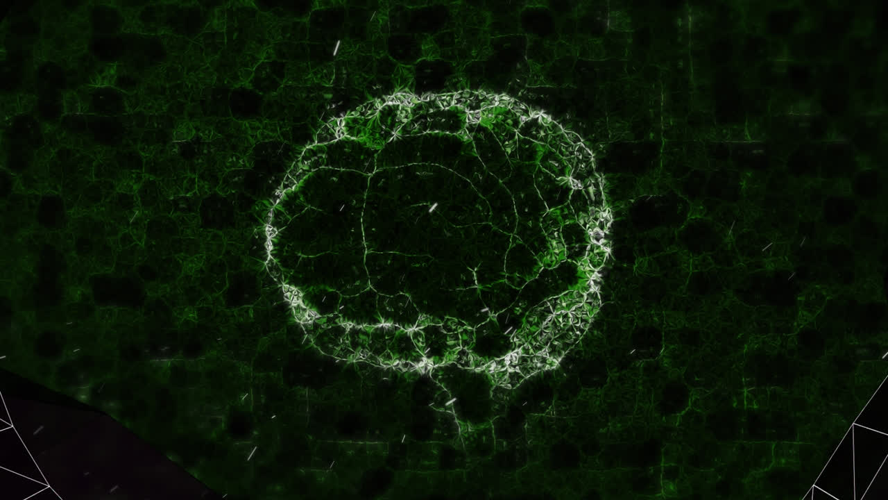Animazione di un tunnel di rete di connessioni su un cervello umano che gira