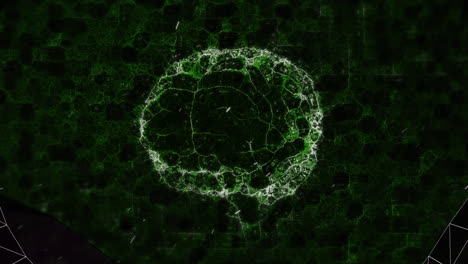 Animation-Eines-Tunnels-Aus-Verbindungsnetzwerk-über-Dem-Rotierenden-Menschlichen-Gehirn