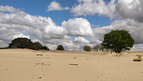 erosion due to overgrazing with desertification as result