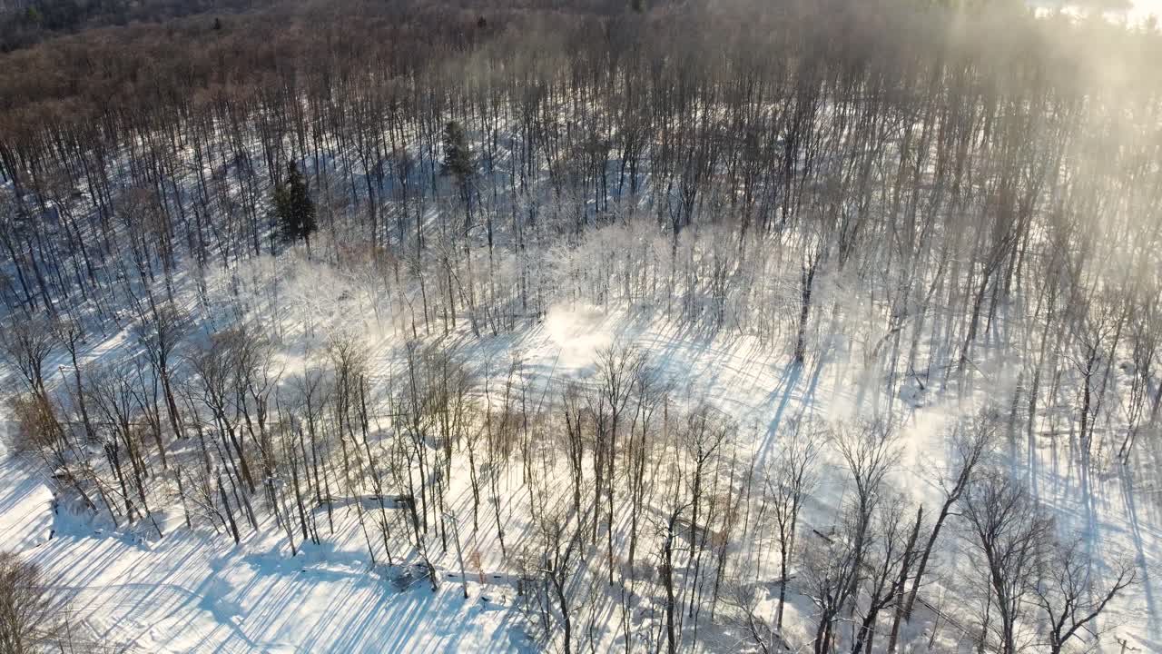 Aerial view of a snow covered forest in St Sauveur, Quebec, Canada, showcasing the serene beauty of nature during the winter season, captured by a drone