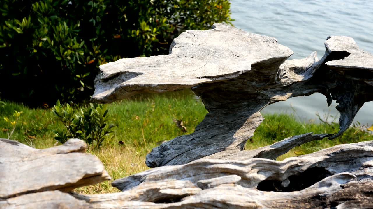 detalles de la estructura de la madera antigua, macro de la textura de la madera