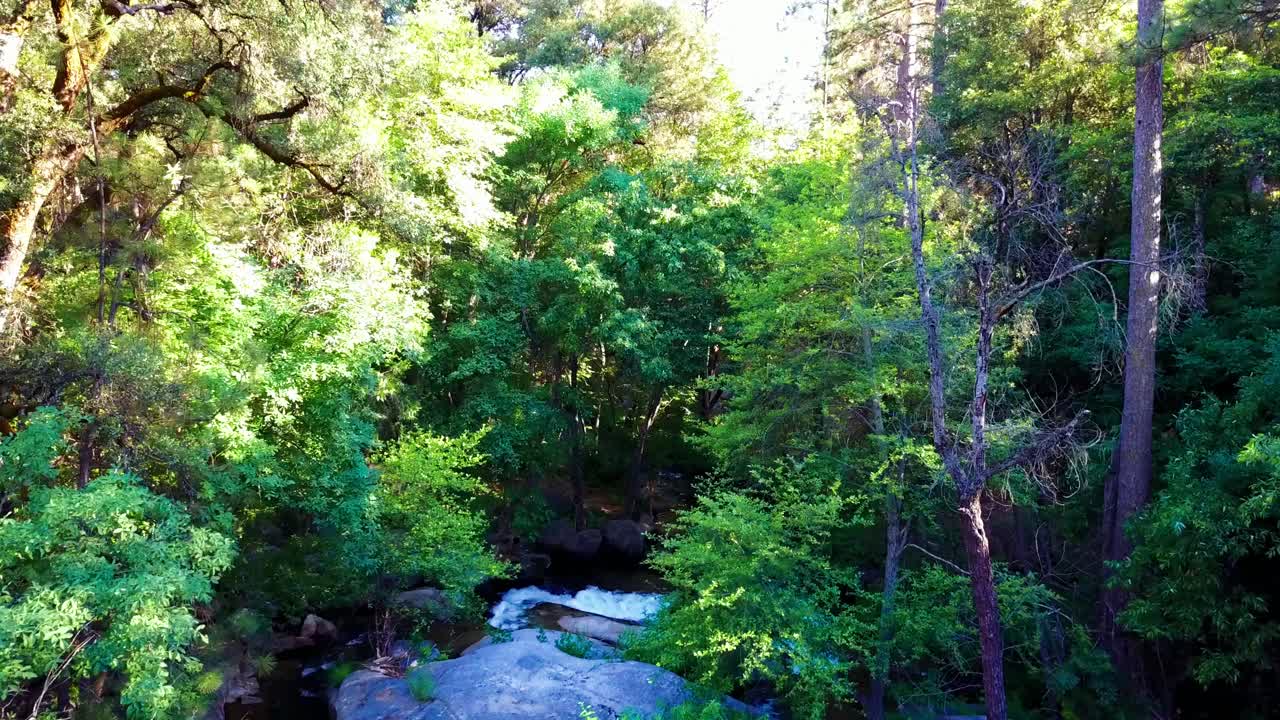 Low fly through green forest above a small mountain river with rapids. 4K