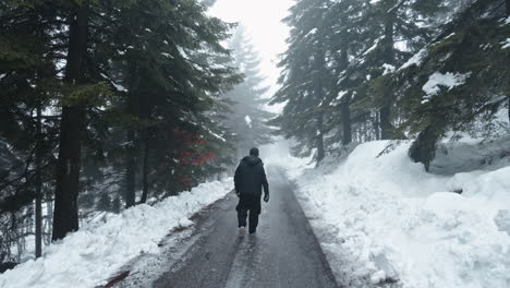 Eine-Person-Geht-An-Einem-Nebligen-Tag-Einen-Verschneiten-Waldweg-Entlang,-Der-Von-Hohen-Kiefern-Umgeben-Ist