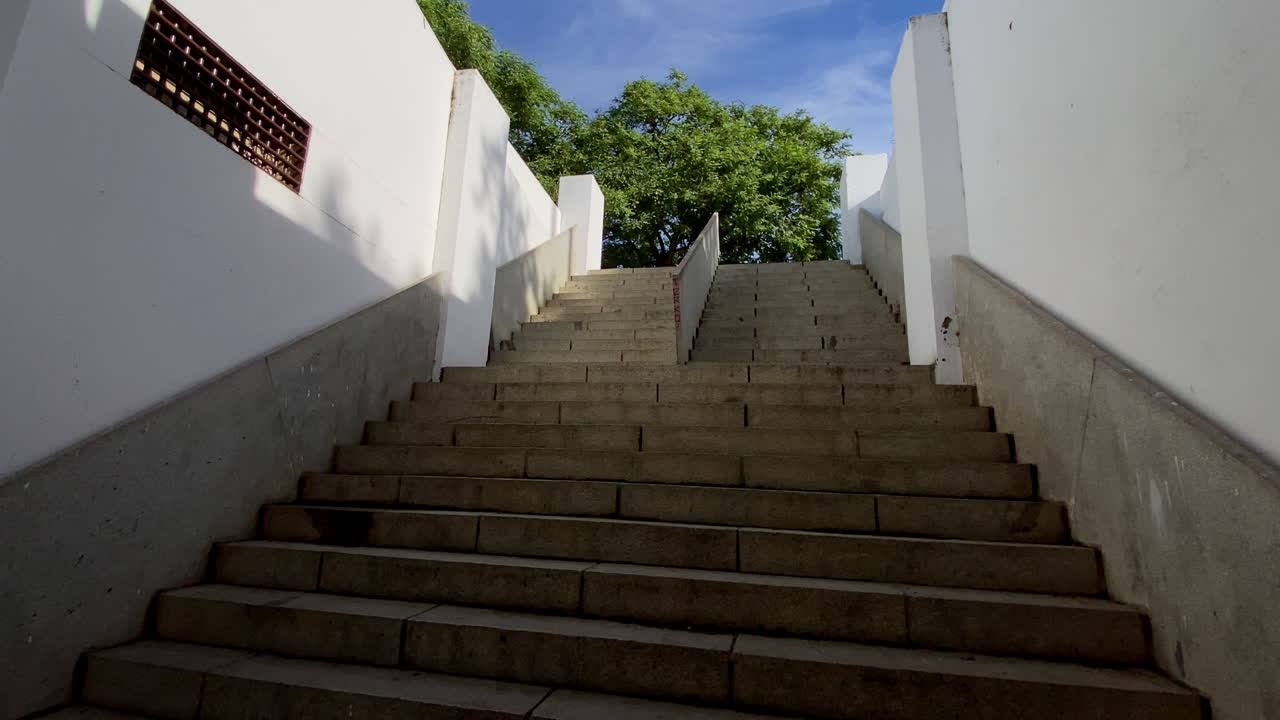 Escalier blanc minimaliste montant de la rivière vers des arbres et un ciel dégagé, symétrie épurée et lumière vive du matin