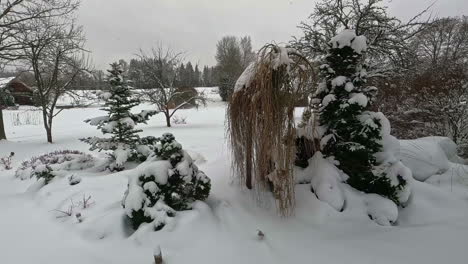 Gemütliche-Hütte-In-Einem-Verschneiten-Winterwunderland---Panorama