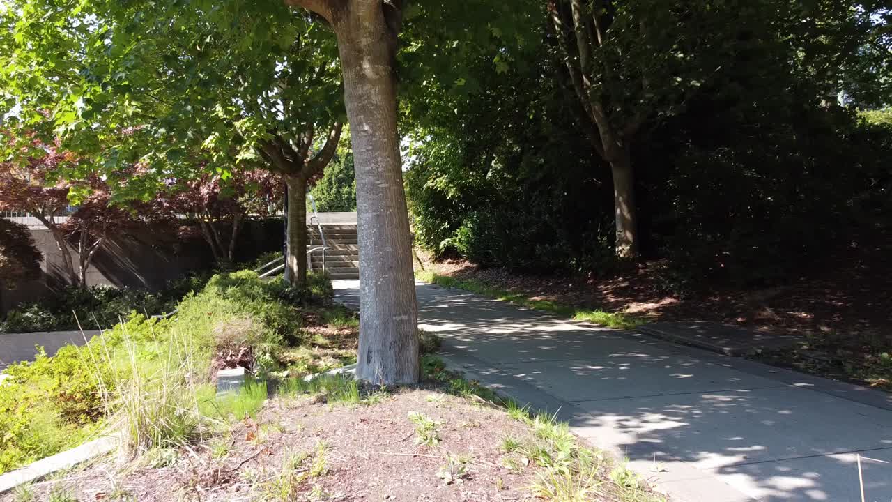 2-2 cámara mística del camino del druida vuela a través de un moderno arco futurista de hormigón seco en un caluroso día soleado de verano en un parque contemporáneo junto a la autopista en una ciudad tropical de adoración pagana