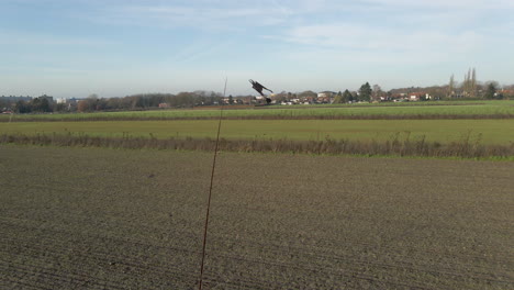 Dolly-Von-Vogelabwehrdrachen,-Die-Im-Wind-Auf-Dem-Bauernhoffeld-Fliegen