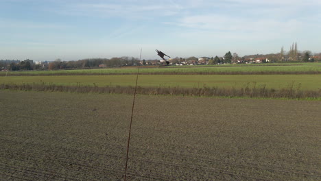 dolly de cometa repelente de pájaros volando en el viento en el campo agrícola