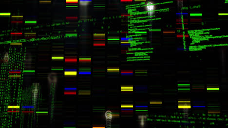 Colorful-electrophoresis