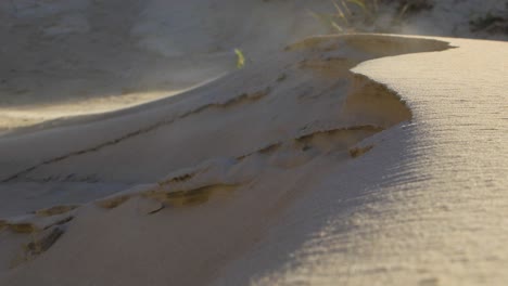 Sandstaub-Von-Sanddünen-Am-Meer,-Die-In-Der-Luft-Fließen,-Sandpartikel,-Die-Aufgrund-Des-Starken-Windes-Am-Strand-In-Der-Luft-Schweben,-Ostseeküste,-Küstenerosion,-Klimawandel,-Sonniger-Tag,-Nahaufnahme