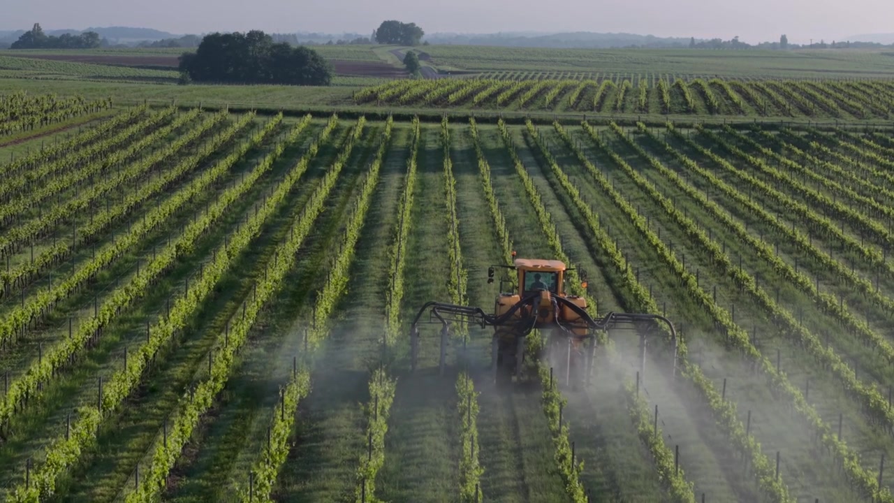 Vista aerea di un trattore giallo che irrora filari di rigogliose viti verdi in un vigneto a Targon, Nuova Aquitania, Francia