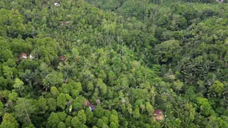 drone flying over a jungle valley with tropical plantations and farm houses