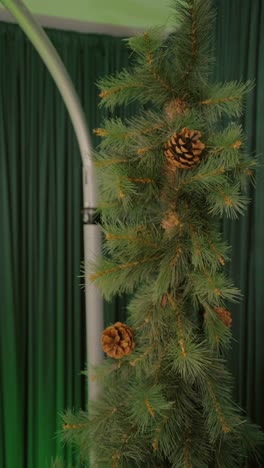 Christmas day reveal from Close-Up of an Evergreen Pine Branch with a Natural Cone Showcasing Tranquil Forest Charm